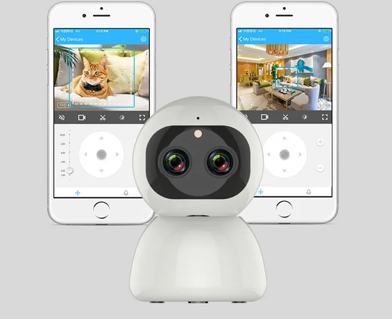 1080P Night Vision Dual Lens Night Vision PTZ WiFi Wireless Camera with Motion Detection