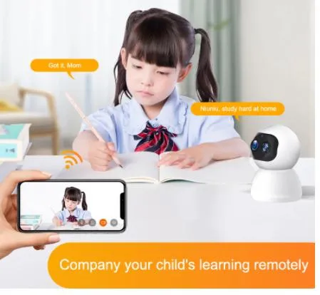 1080P Night Vision Dual Lens Night Vision PTZ WiFi Wireless Camera with Motion Detection