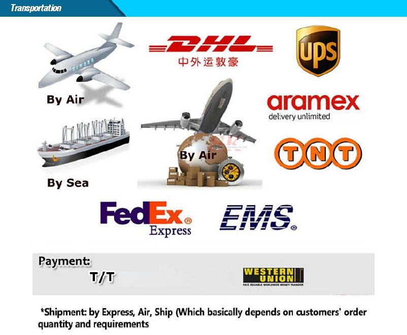 2.0MP Starlight 36X IP Camera Hidden Wiper Smart High Speed PTZ Camera IR 200m