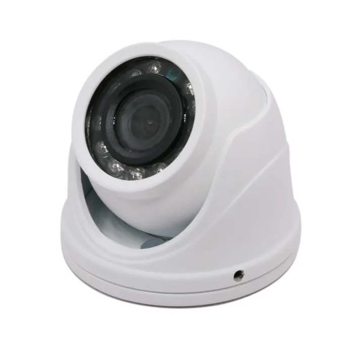 2 Inch Mini Metal Vandalproof Dwdr OSD Utc BNC White 3D-Nr Noise Reduction IR 15m Range Waterproof NTSC / PAL Ahd/Tvi/Cvi Dome Camera