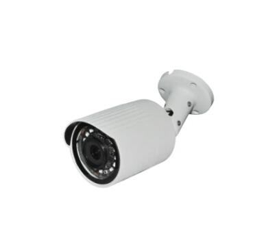 Guardians in the Shadows: The Role of Surveillance in Our Modern World