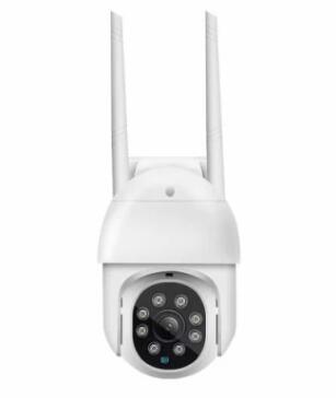 The Watchful Eye: Exploring the Impact of Surveillance on Human Behavior