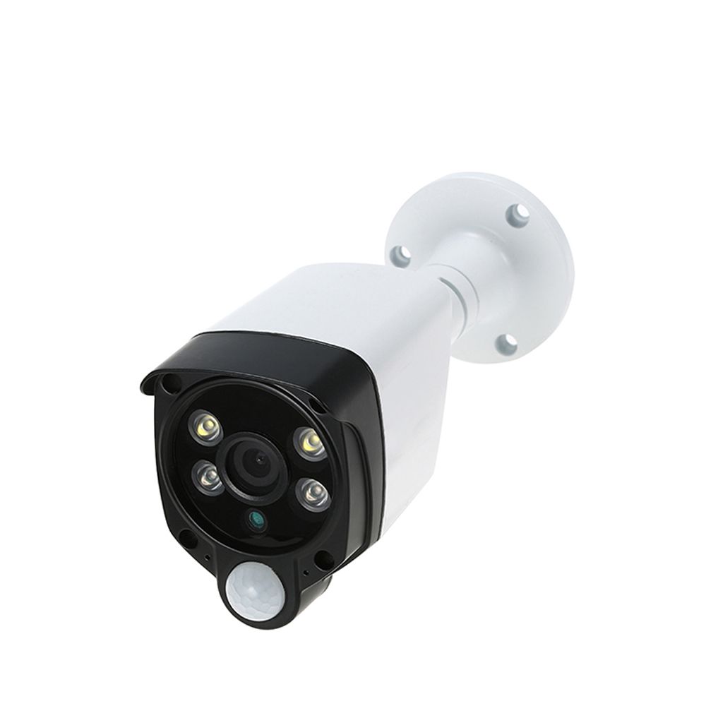 4MP 4 in 1 IR&White LED PIR Detection Camera