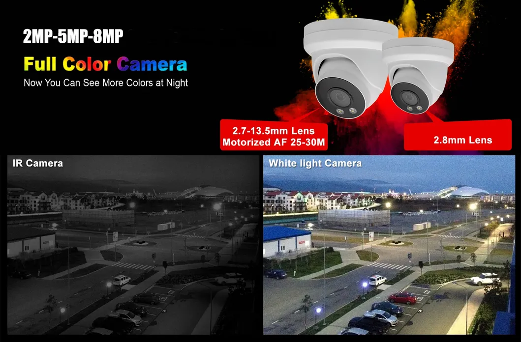 7/24 Hours Colorful Dual Light Security 2MP Metal Internal Microphone Poe Colorvu Starlight IP Turret Dome CCTV Camera
