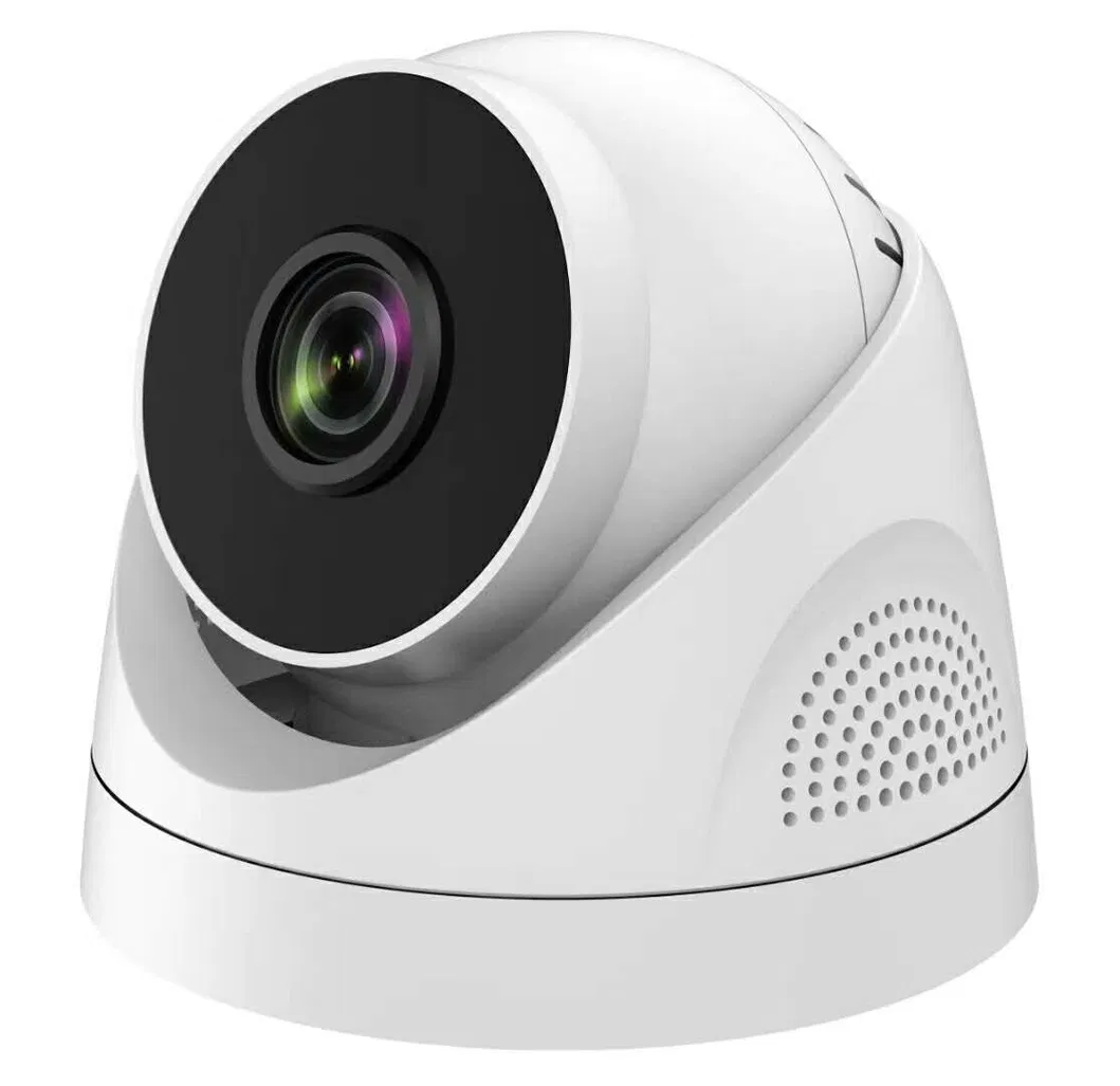 Fsan 2.0/3.0MP Starlight IR Fixed Dome IP Surveillance Camera with Humanoid Detection Function