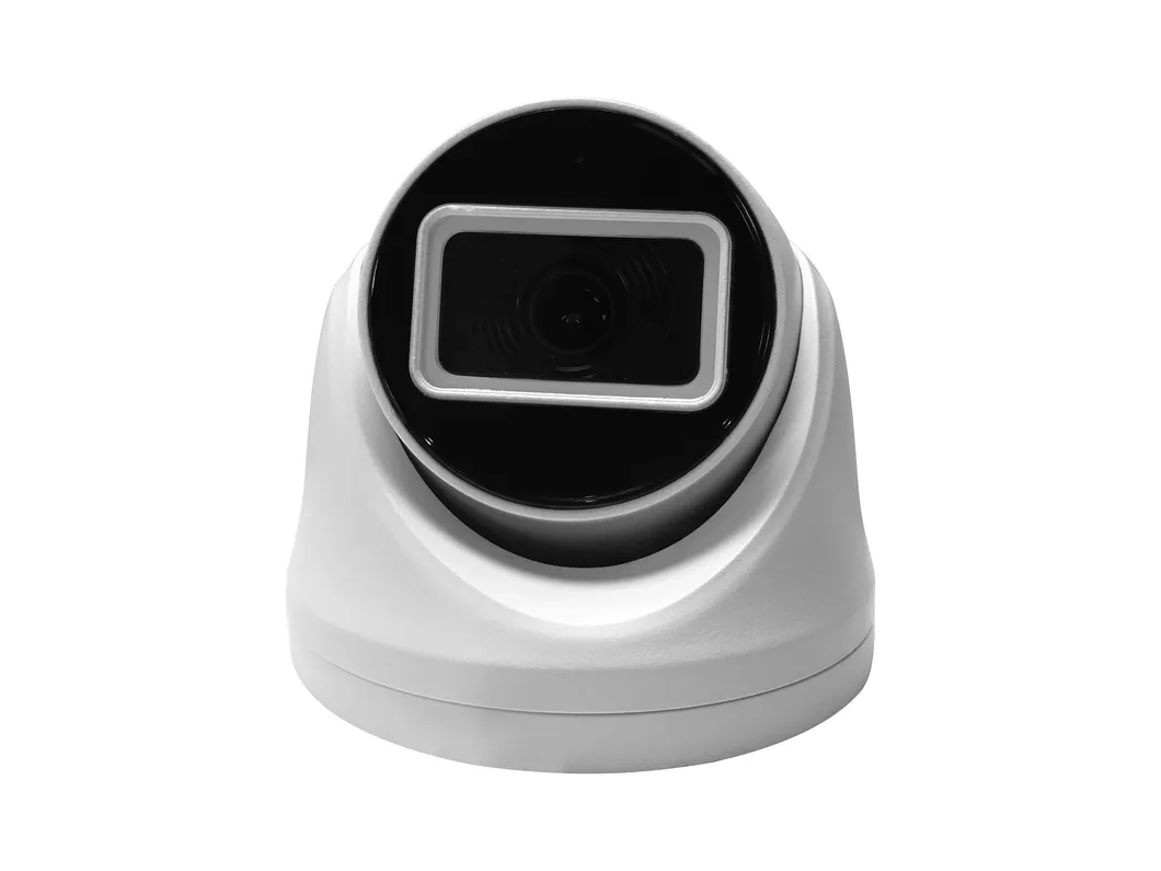 Fsan 3.0MP IR Fixed Dome IP Security Camera with Humanoid Capture Detection Function