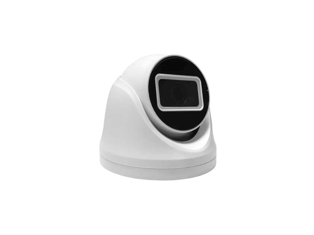 Fsan 3.0MP IR Fixed Dome IP Security Camera with Humanoid Capture Detection Function
