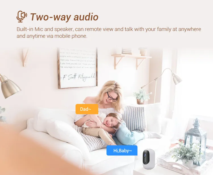 PIR Detection Digital Network 2MP Wireless Video Camera for Distributor